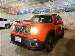 جيب رينيجيد